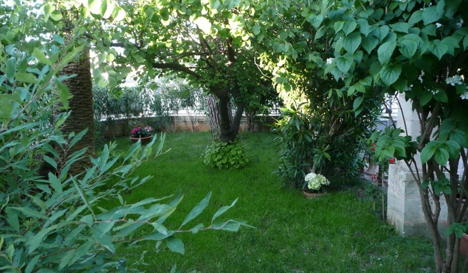 Esterno B&B alla Volta delle Stelle Corsano, Lecce