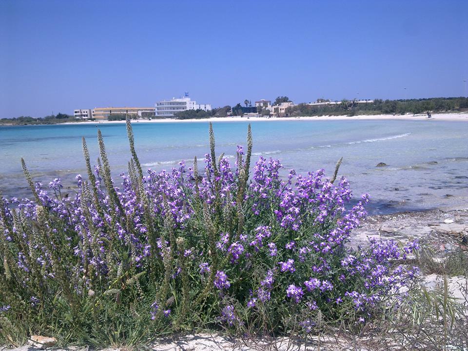 Spiaggia di Punta Prosciutto nei pressi di Porto Cesareo - Torre Lapillo