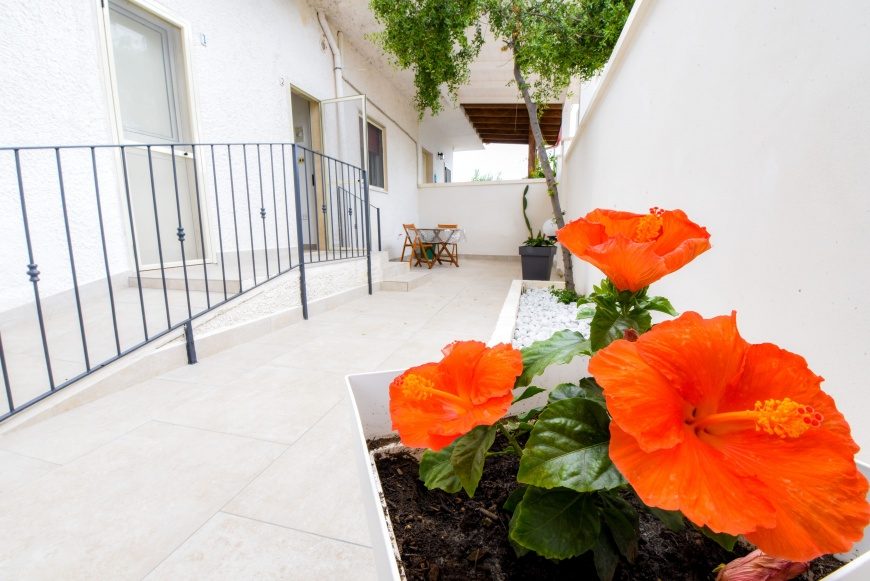 B&B Macchia Mediterranea a Specchiarica su Salento.it