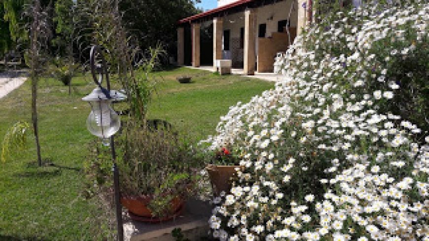 agriturismo le tagliate uggiano la chiesa su Salento.it