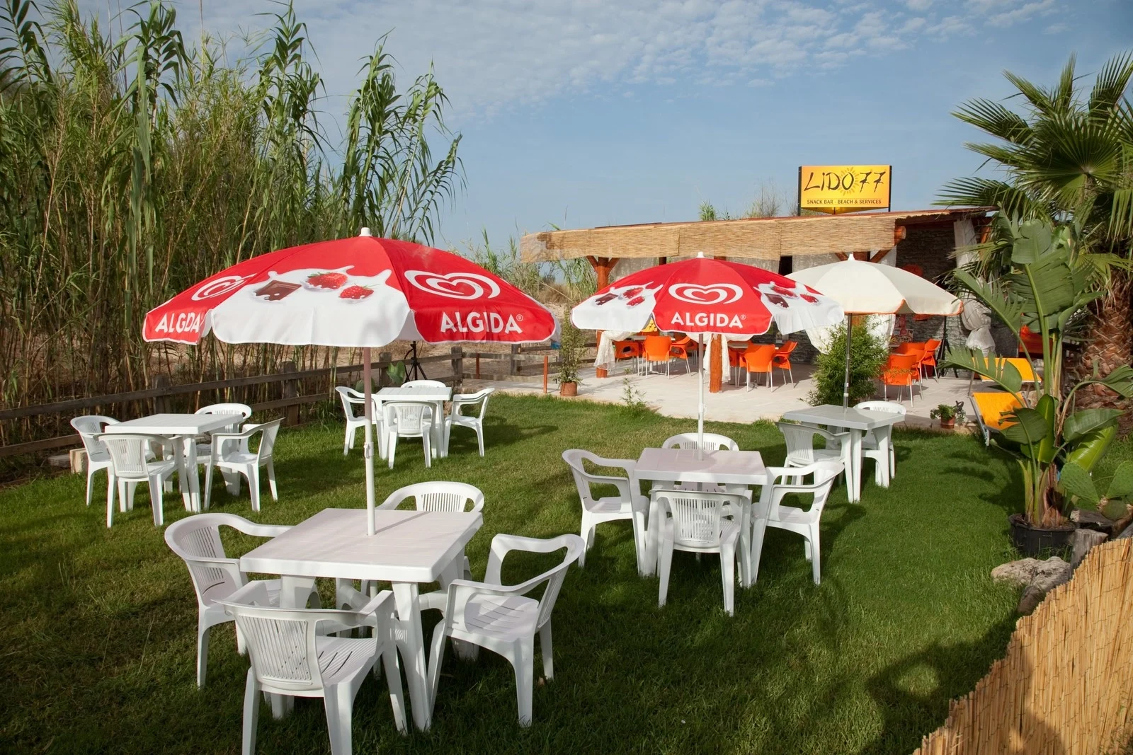Lido 77 Pescoluse