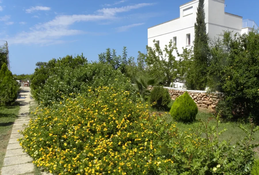 Masseria Agriturismo Faresalento