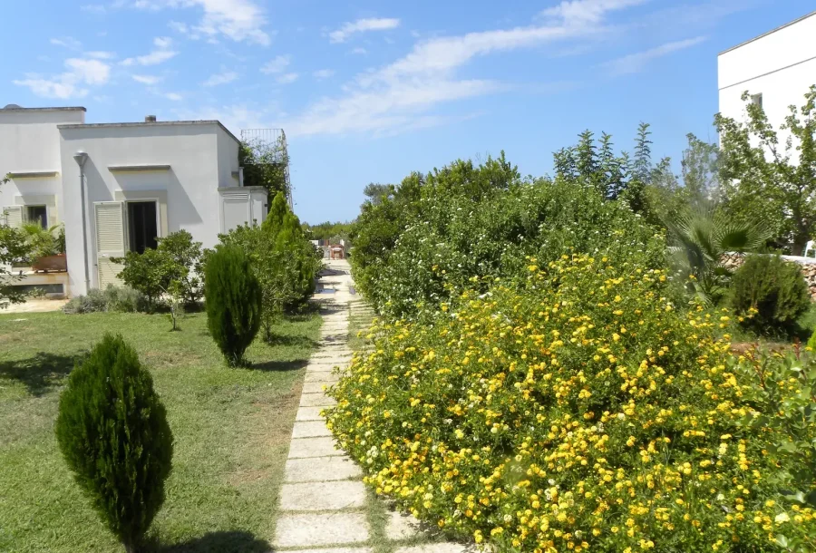 Masseria Agriturismo Faresalento