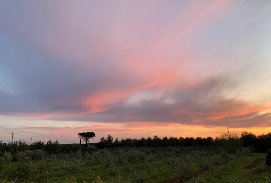 Masseria Agriturismo Faresalento