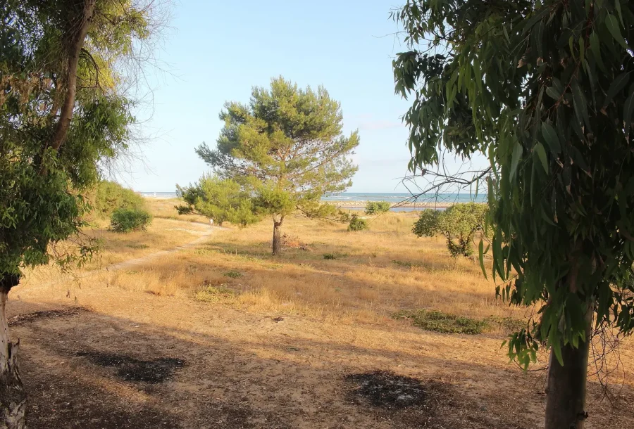 Mare e Sabbia