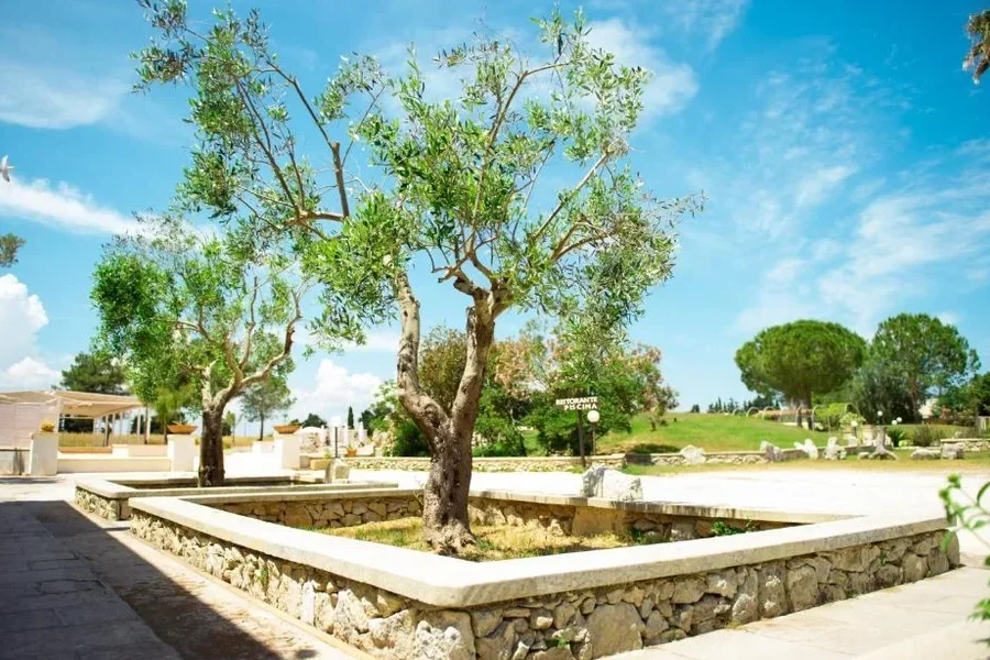 Villa Conca Marco