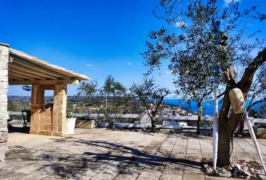 Paxos