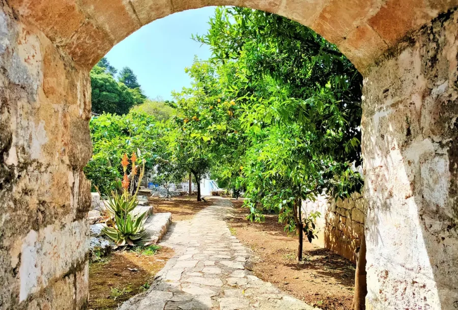 Paxos