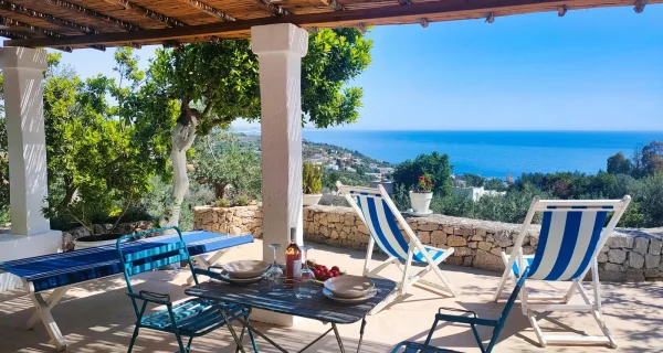 Zante