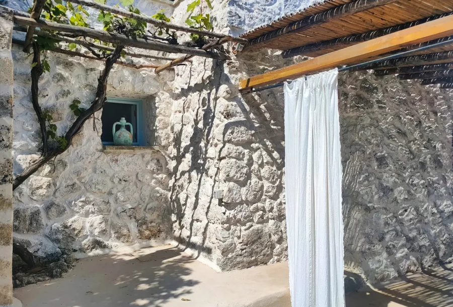 Zante