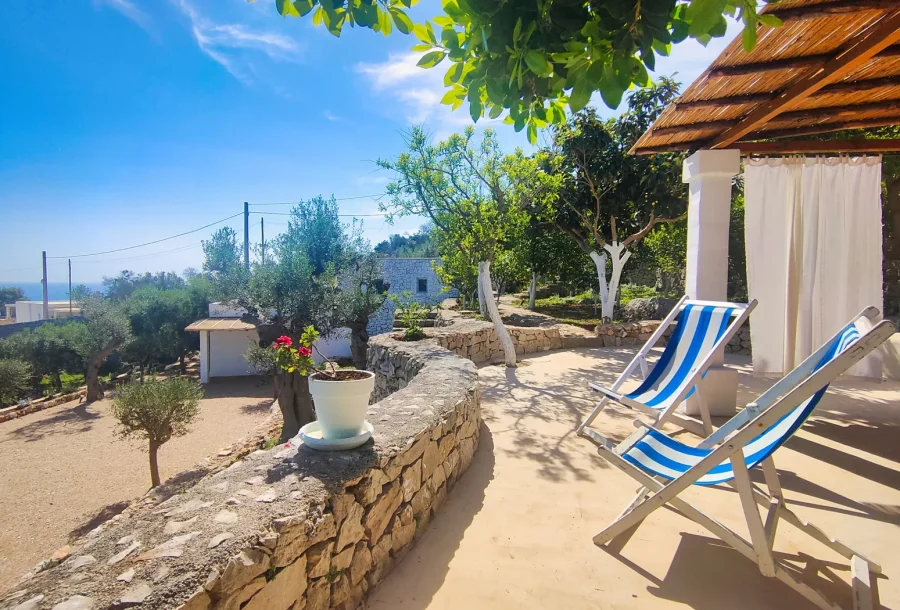 Zante