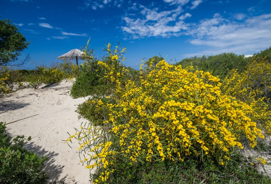 Ecoresort Le Sirenè